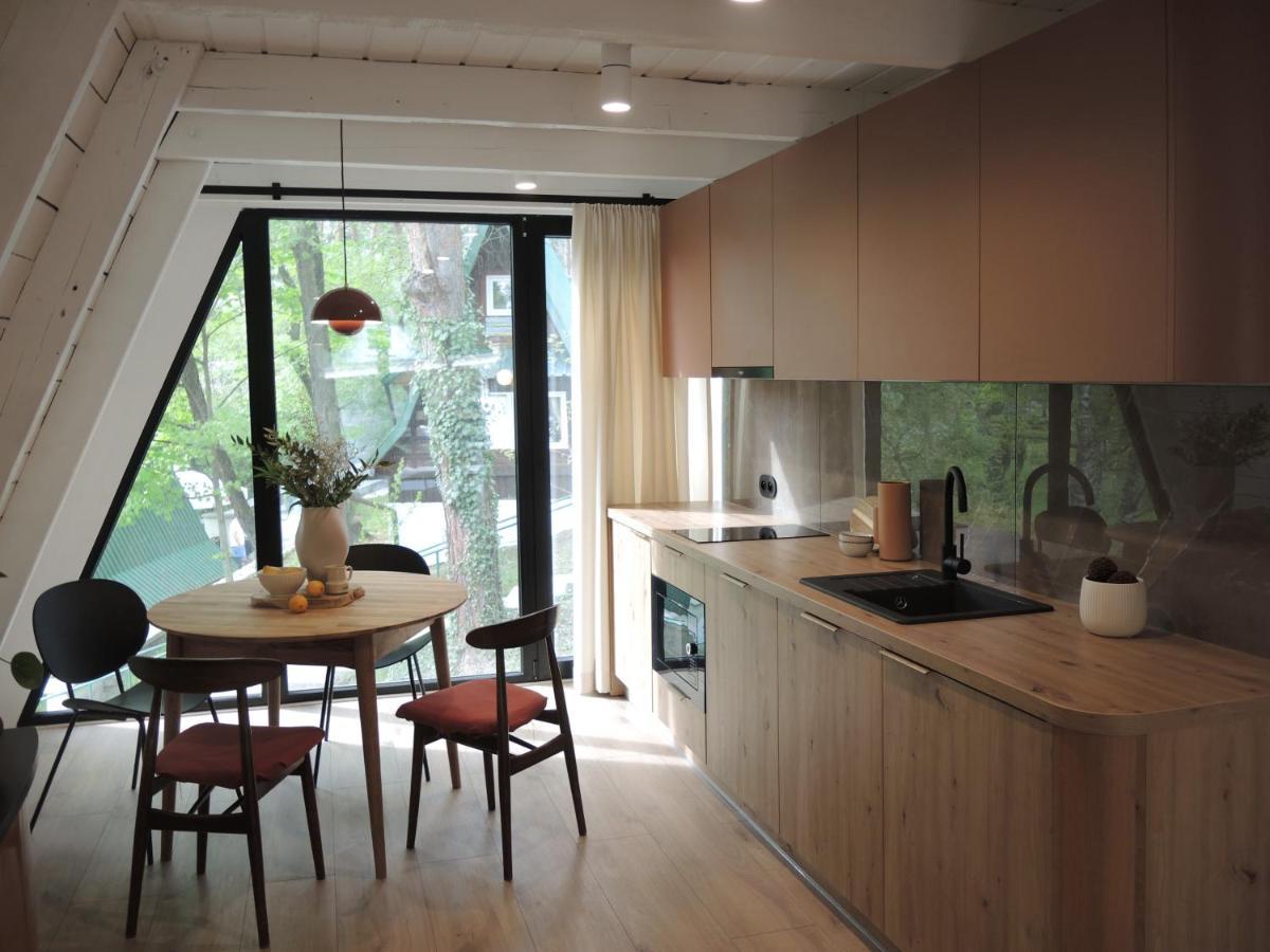 ניסה Domek Modern Brda מראה חיצוני תמונה